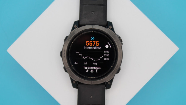 Garmin Endurance Score explained: What it is and which Garmin watches support it