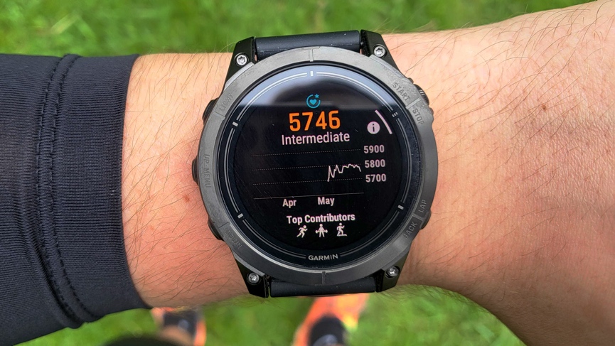 Garmin Endurance Score explained: What it is and which Garmin watches support the feature photo 4