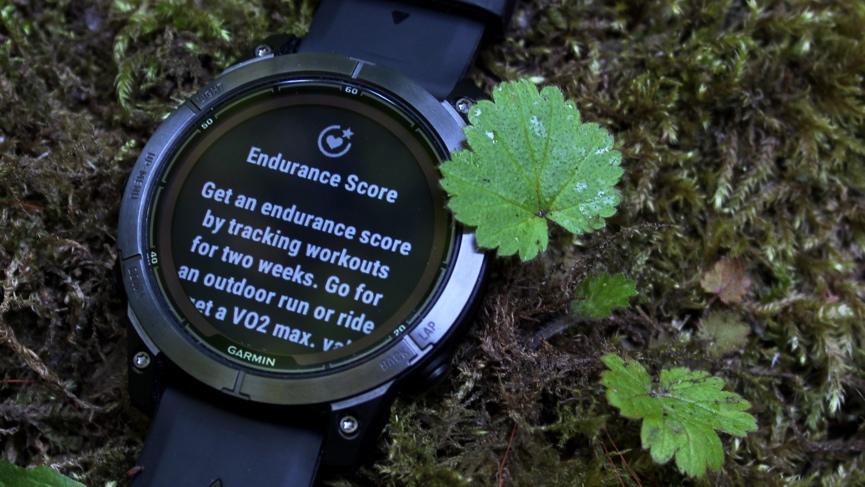 Garmin Endurance Score explained: What it is and which Garmin watches support the feature photo 6